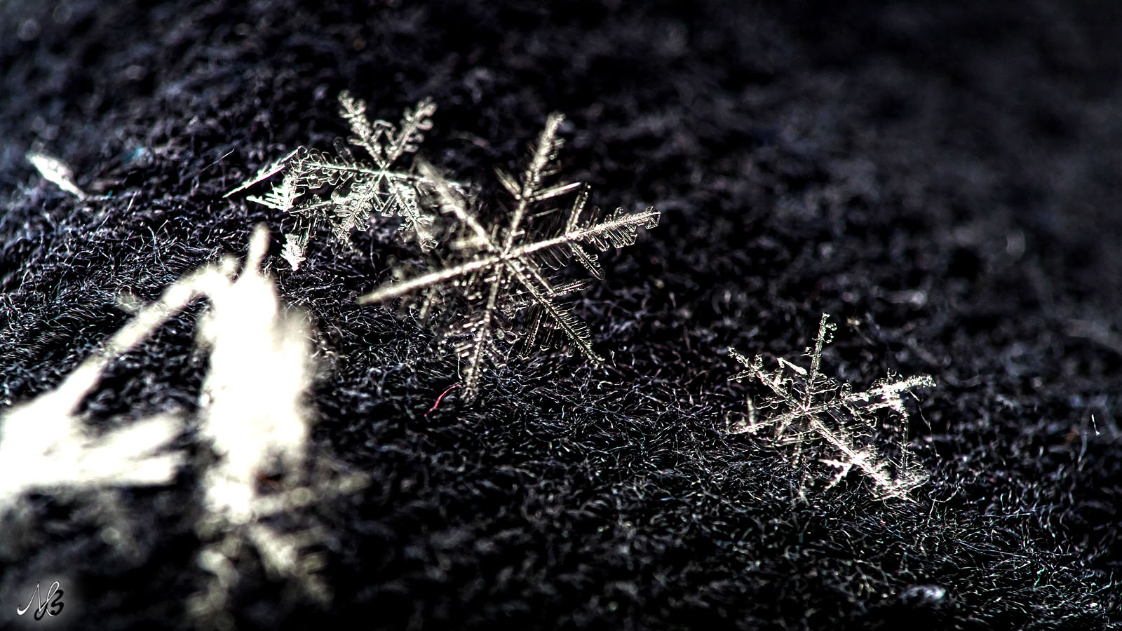 Schnee oder aller Anfang ist schwer