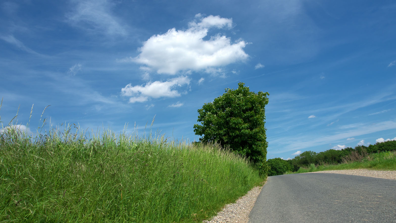 Mehr über den Artikel erfahren Der Wandertag